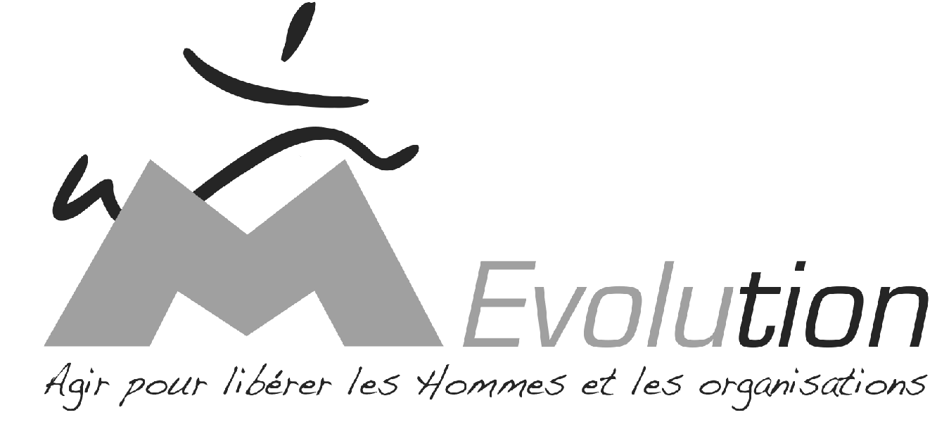 Logo M-Evolution